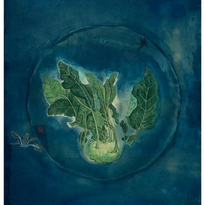 Memory-of-taste-III,-In-the-Backyard-Brassica-oleracea,-Ol-Kobi-Rashmimala