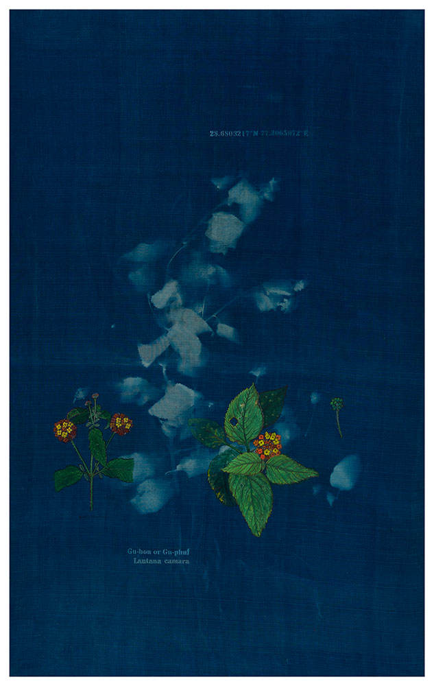 The-Ruderals-as-Companions,-Gu-bon-or-Gu-phul,-Lantana-camara-Rashmimala