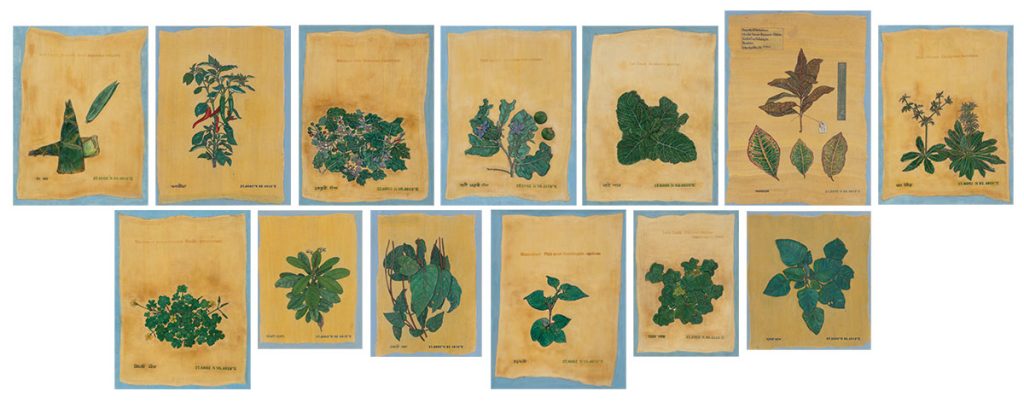 Tracing-Through-a-Backyard-Rashmimala