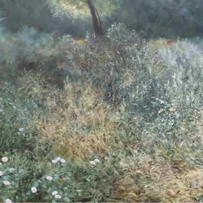 Backyard-Wilderness