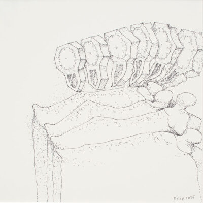 Mannequin’s-Dream-Dilip-Ranade-1