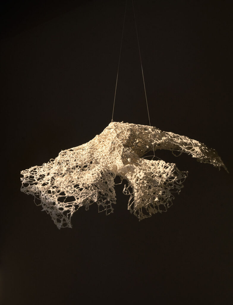 Flight-Ravikumar-Kashi