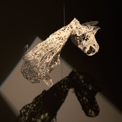 Fragmented-Ravikumar-Kashi