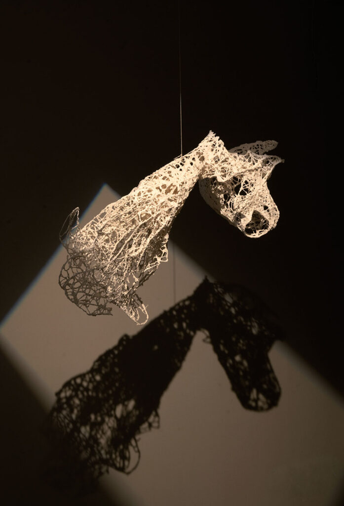 Fragmented-Ravikumar-Kashi