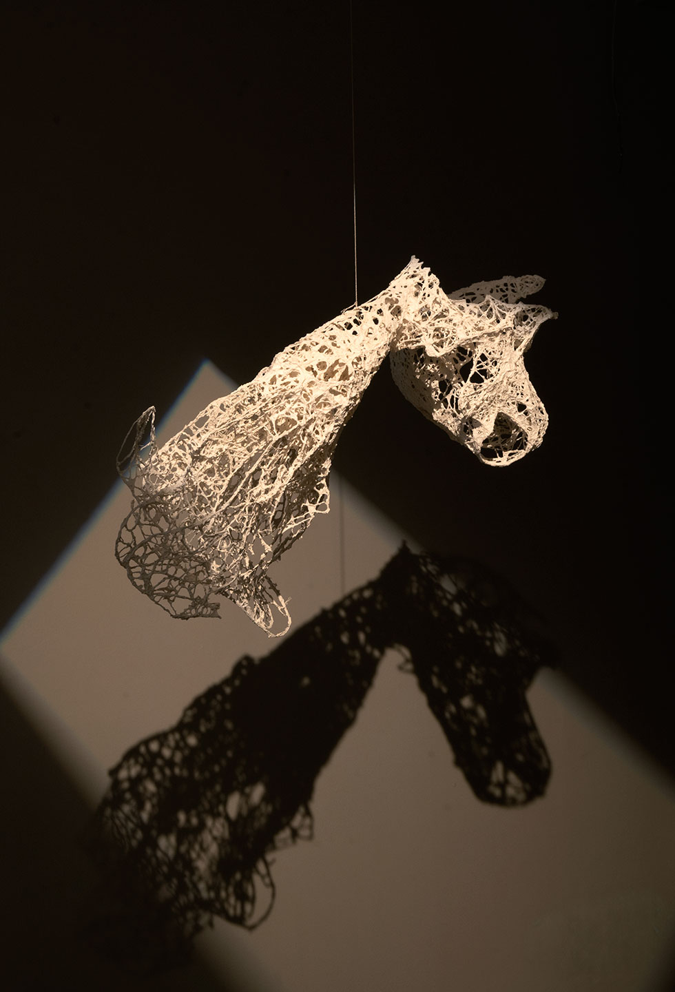 Fragmented-Ravikumar-Kashi