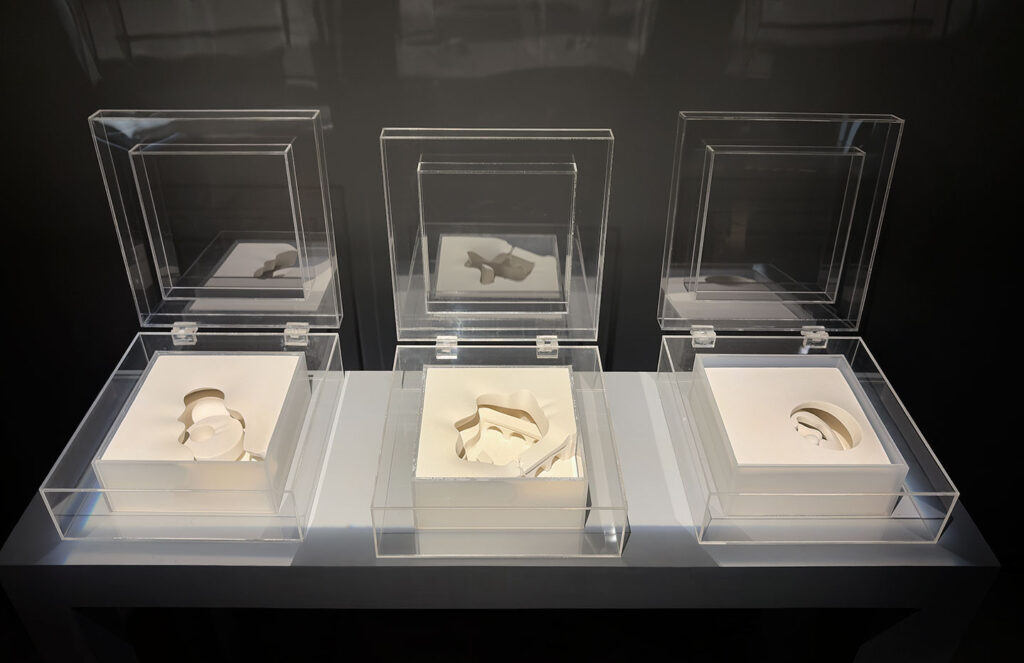 From-the-series--Intervening-Desires,-A--Bridge-Inside-Manohar-Lala