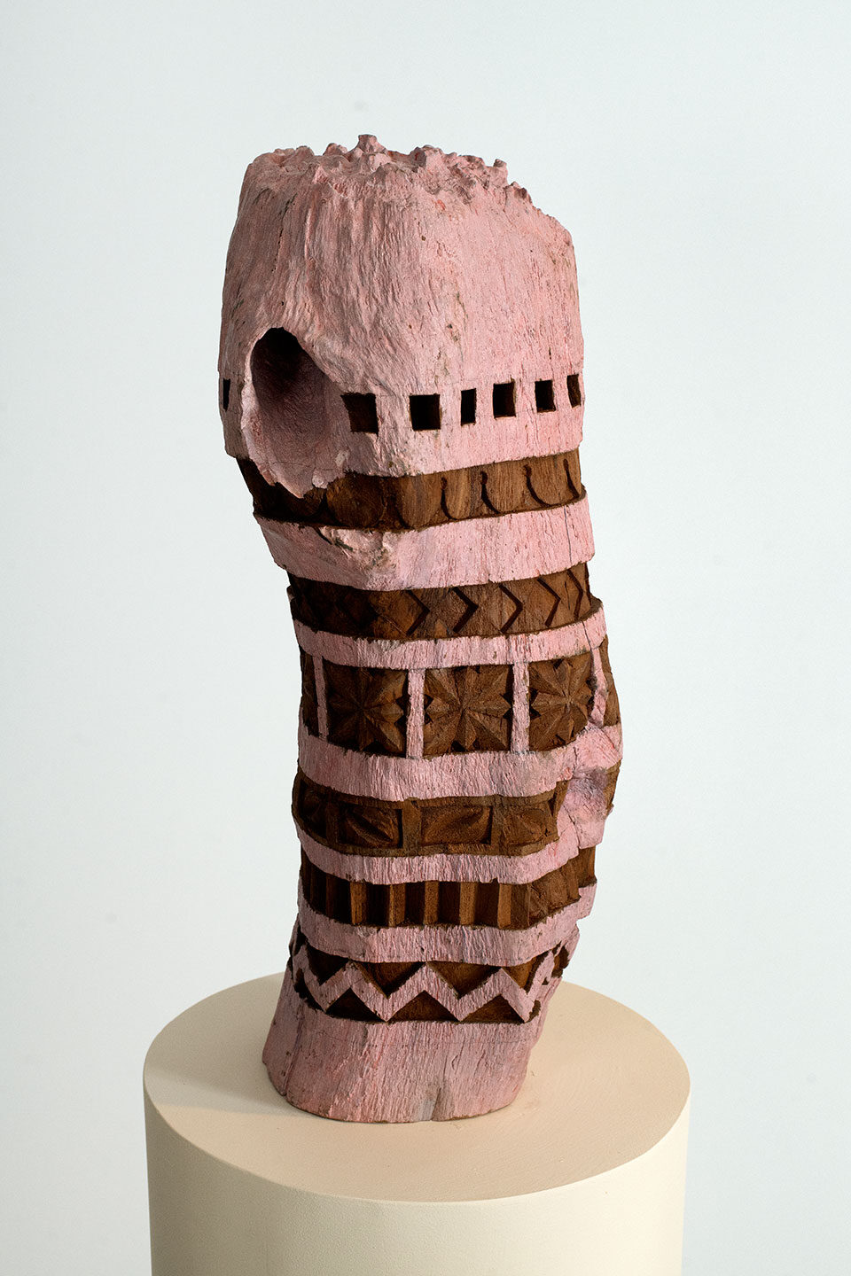 HOMOLOG-X-Bhuvanesh-Gowda