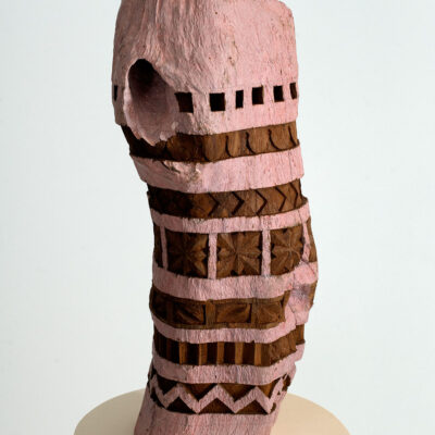 HOMOLOG-X-Bhuvanesh-Gowda