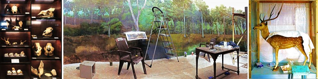 Constructed_Deconstructed-Ravi-Agarwal