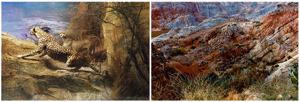 Dystopic-Connection-Ravi-Agarwal