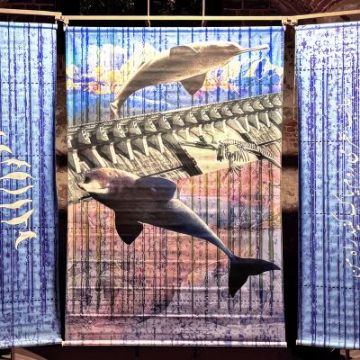 I-am-going-to-the-sea,-clear-the-path-Ravi-Agarwal