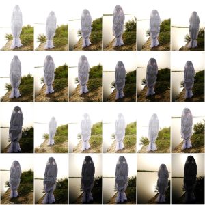 Immersion.Emergence-Ravi-Agarwal