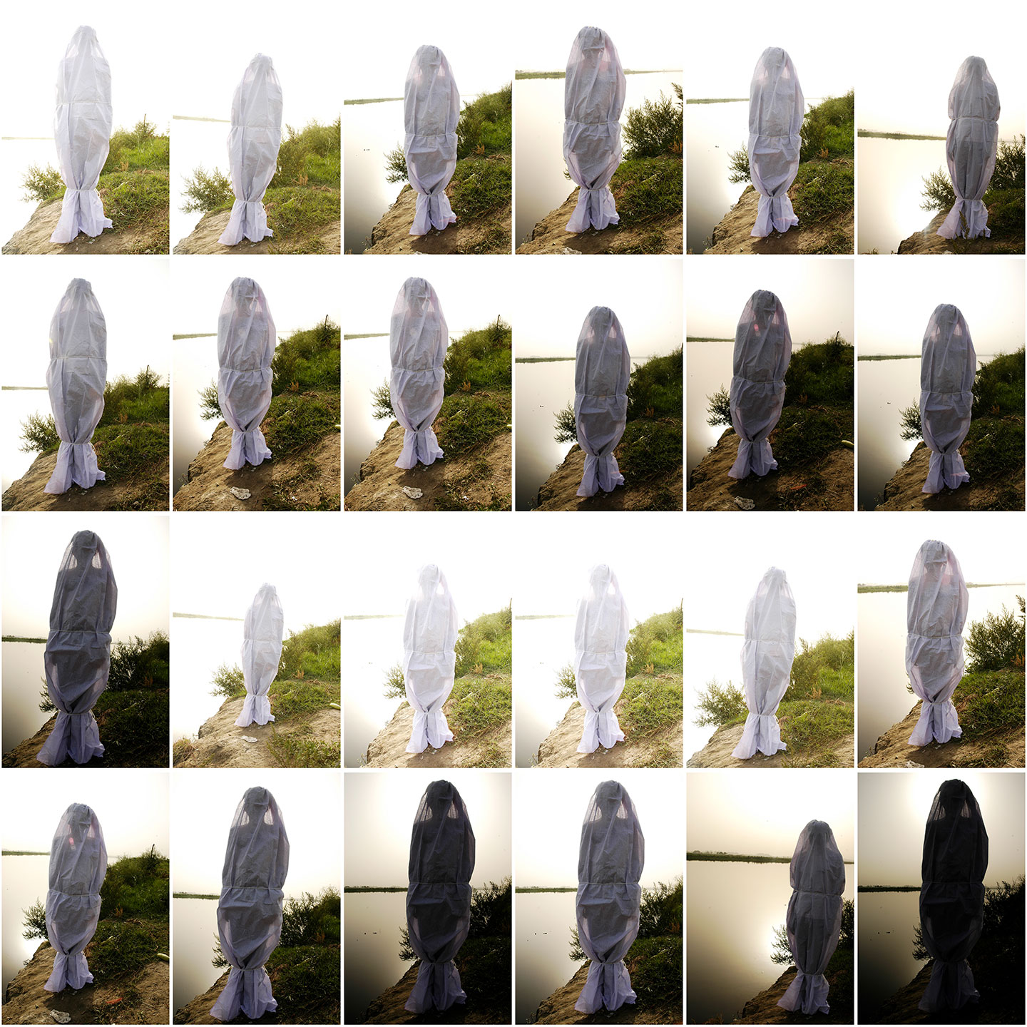 Immersion.Emergence-Ravi-Agarwal