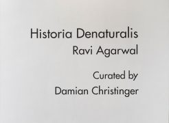 Installation shoots of Ravi Agarwal Show 2026