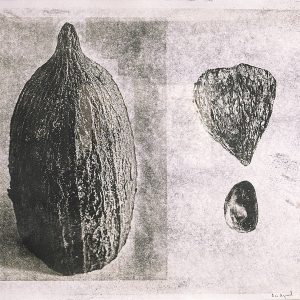Kakawa-Ravi-Agarwal