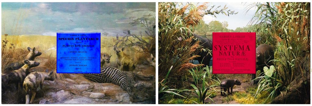 Made-to-Order-Ravi-Agarwal