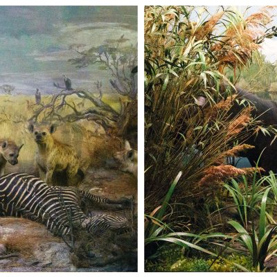 Made-to-Order-Ravi-Agarwal