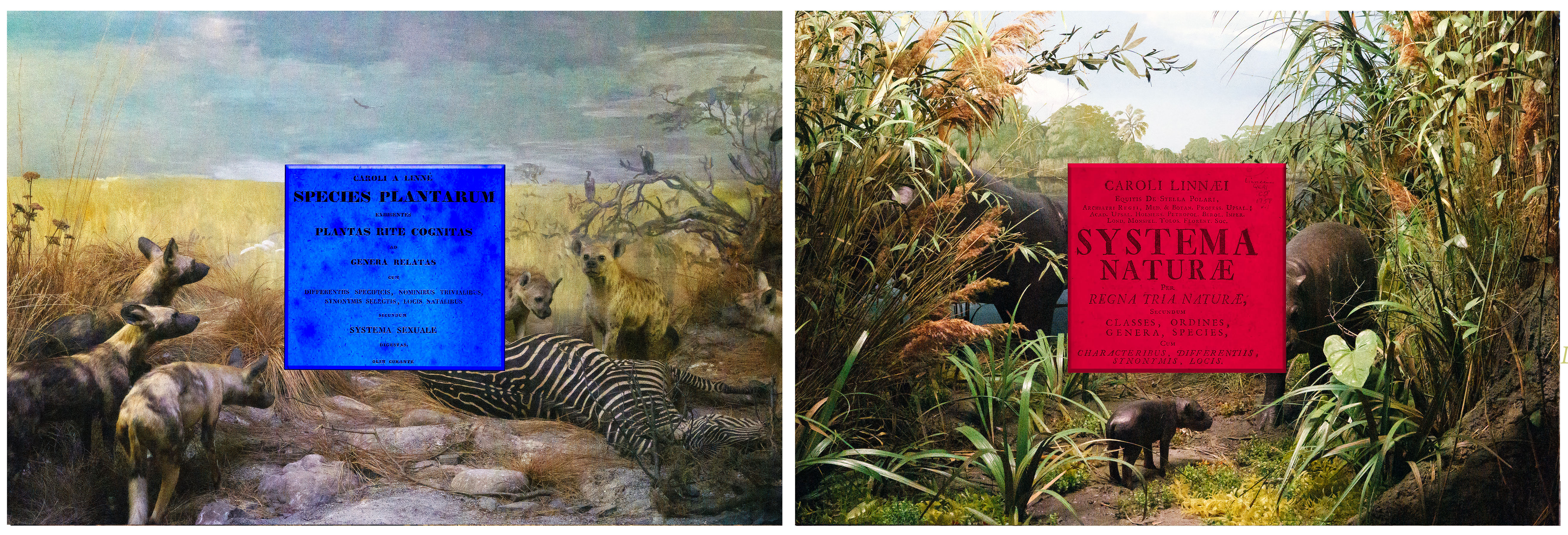 Made-to-Order-Ravi-Agarwal