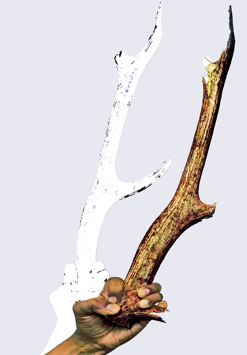 Solidarity-Ravi-Agarwal