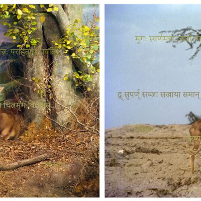 composite-nature-Ravi-Agarwal