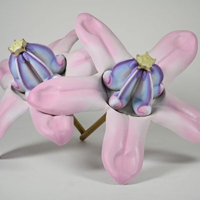 Apple-of-Sodom-Valay-Gada