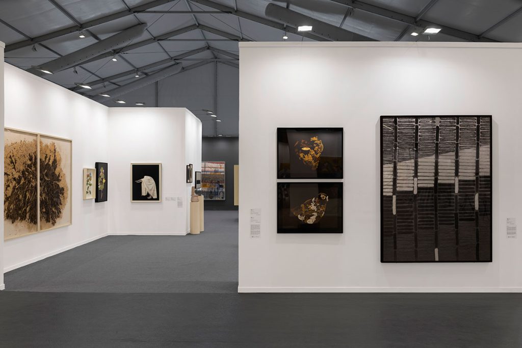 Installation shoot of India Art Fair 2026