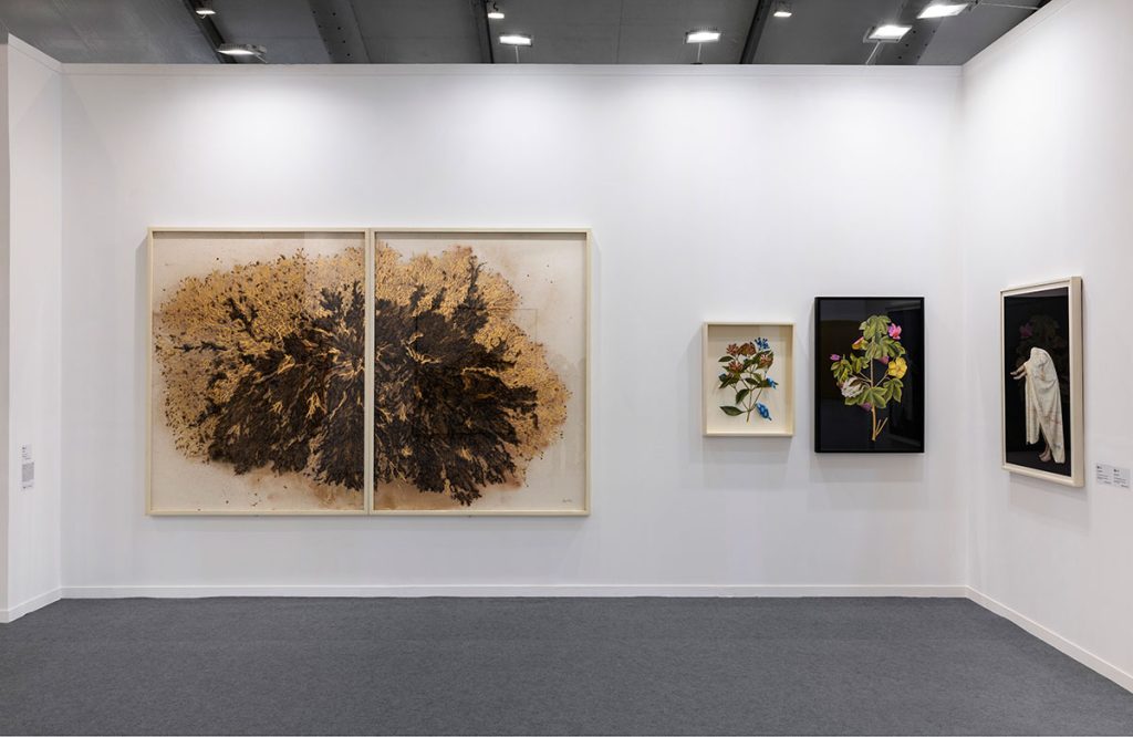 Installation shoot of India Art Fair 2026