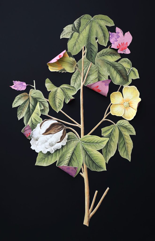 Where-The-Wild-Things-Roam-XIX,-Cotton-Ishita