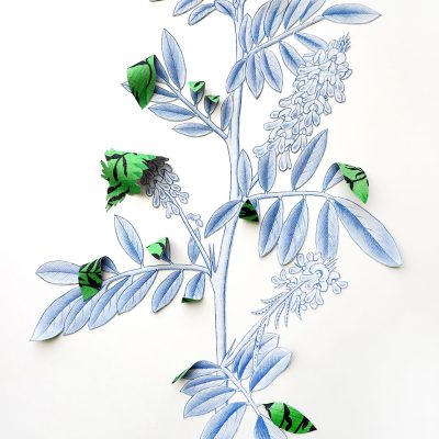 Where-The-Wild-Things-Roam-XIX,-Indigo-IShita