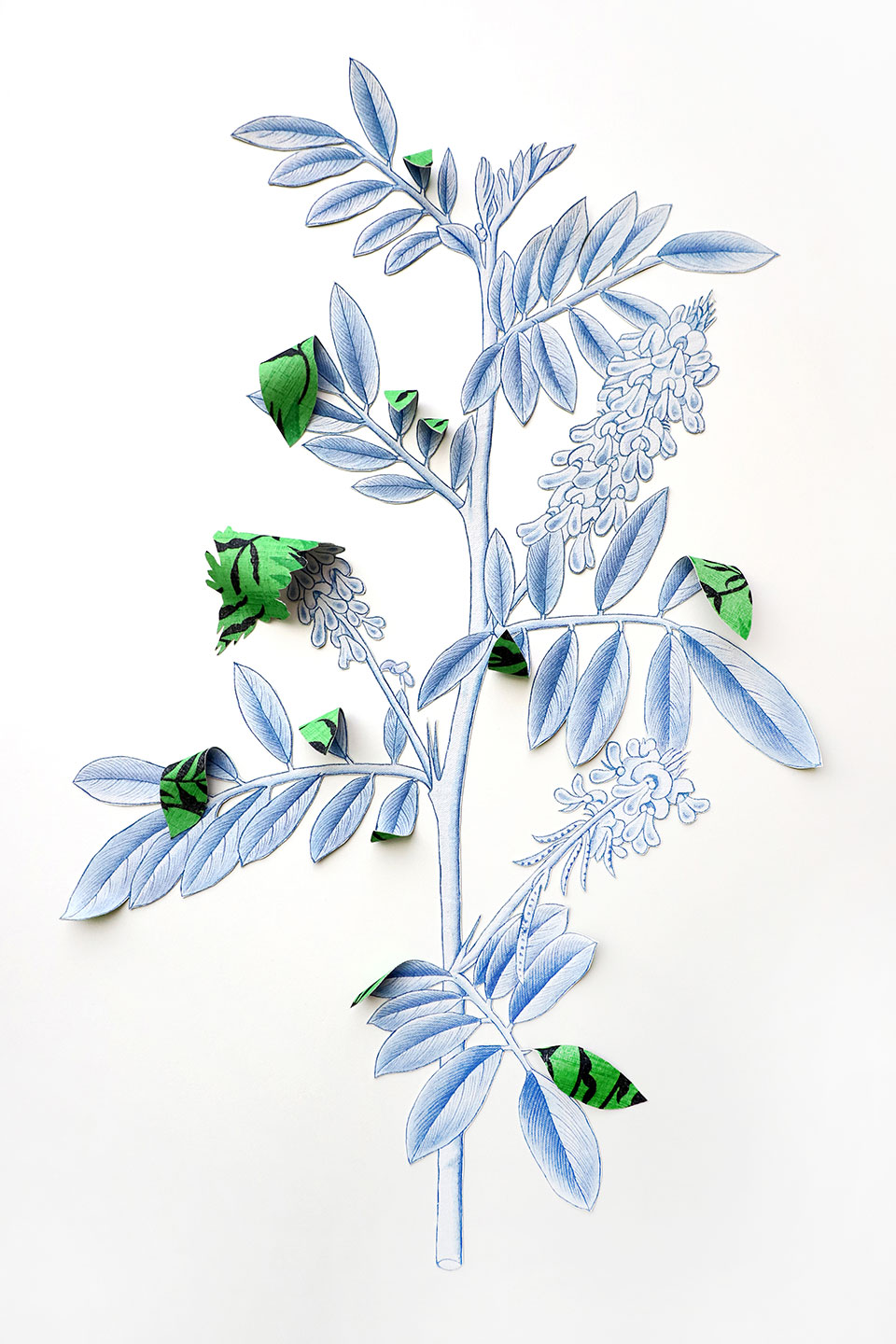 Where-The-Wild-Things-Roam-XIX,-Indigo-IShita