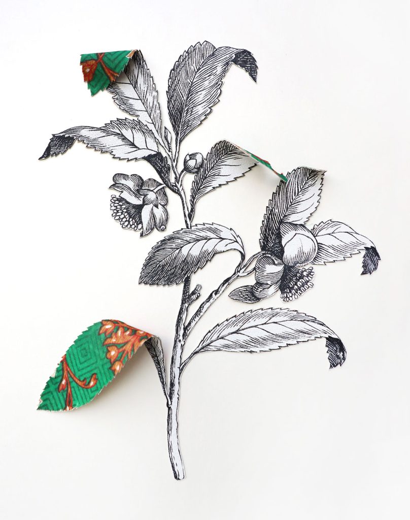 Where-The-Wild-Things-Roam-XV,-Tea-Ishita