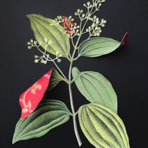 Where-The-Wild-Things-Roam-XVI,-Cinammon-Ishita