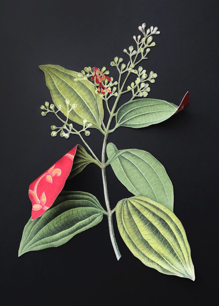 Where-The-Wild-Things-Roam-XVI,-Cinammon-Ishita