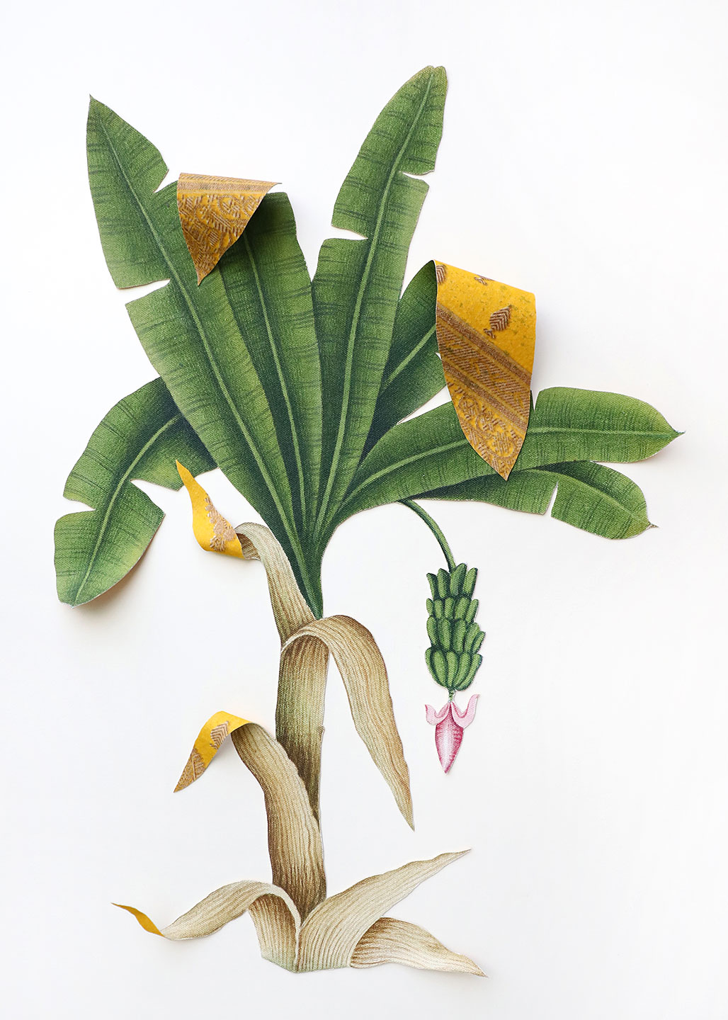 Where-The-Wild-Things-Roam-XVII,-Banana-Ishita