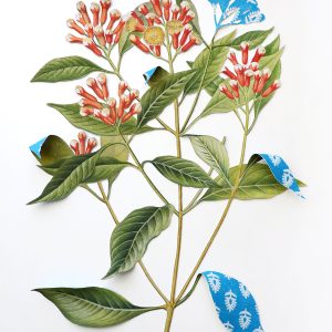 Where-The-Wild-Things-Roam-XVIII,-Clove-Ishita