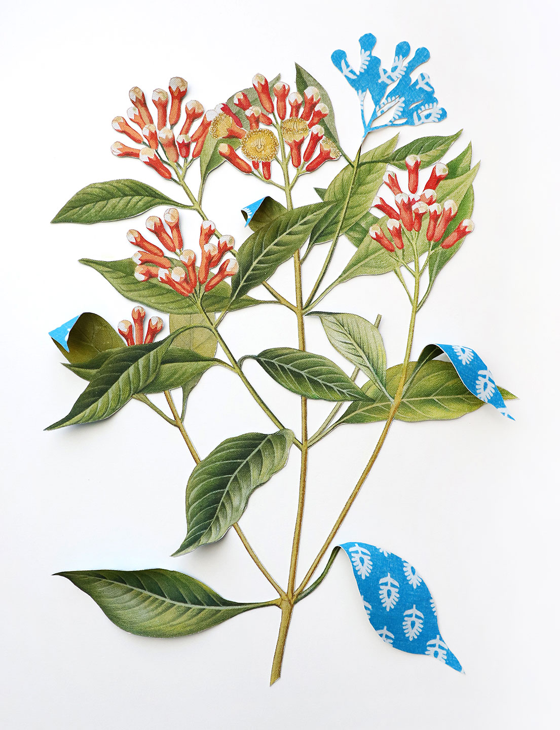 Where-The-Wild-Things-Roam-XVIII,-Clove-Ishita