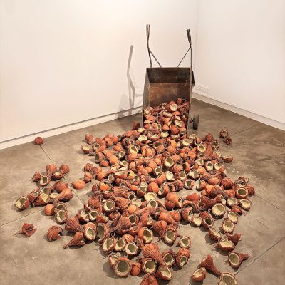 101-coconuts-Madhukar-Mucharla