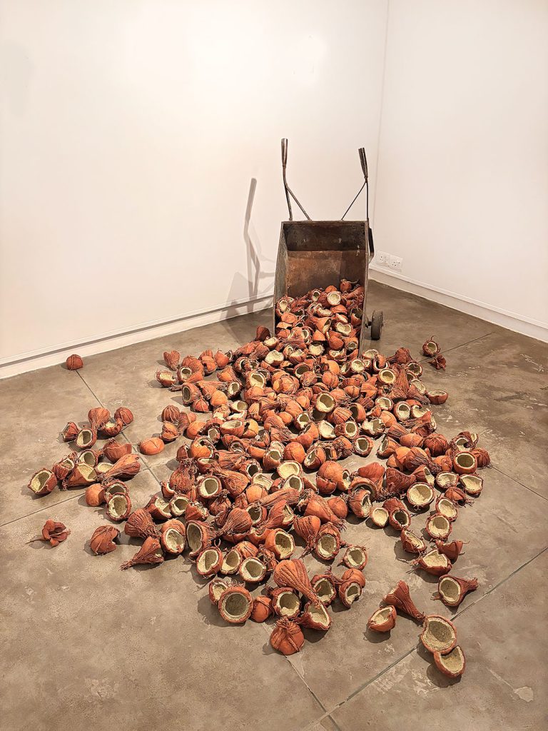 101-coconuts-Madhukar-Mucharla