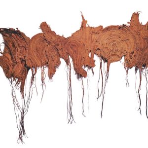 Abstract-identity-Madhukar-Mucharla
