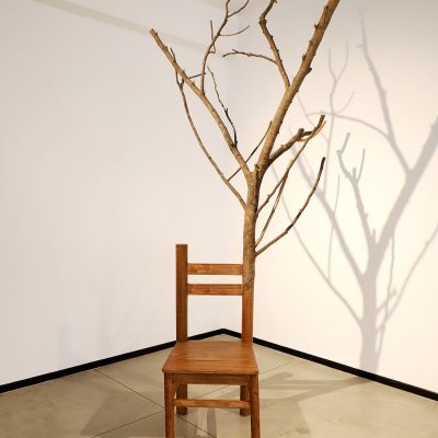 Growing-Chair-Gautam-Bhatia