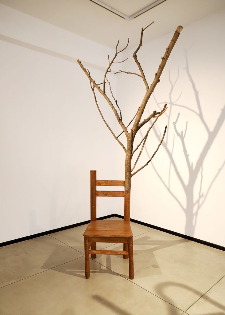 Growing-Chair-Gautam-Bhatia