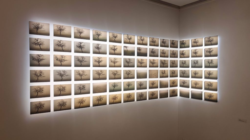 Horizon-Beneath-the-Dust-Payal-Arya