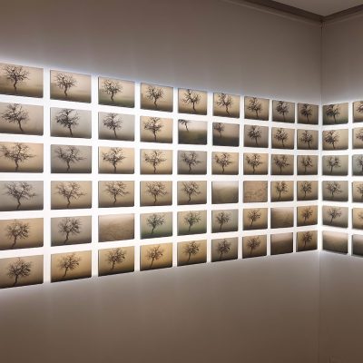 Horizon-Beneath-the-Dust-Payal-Arya