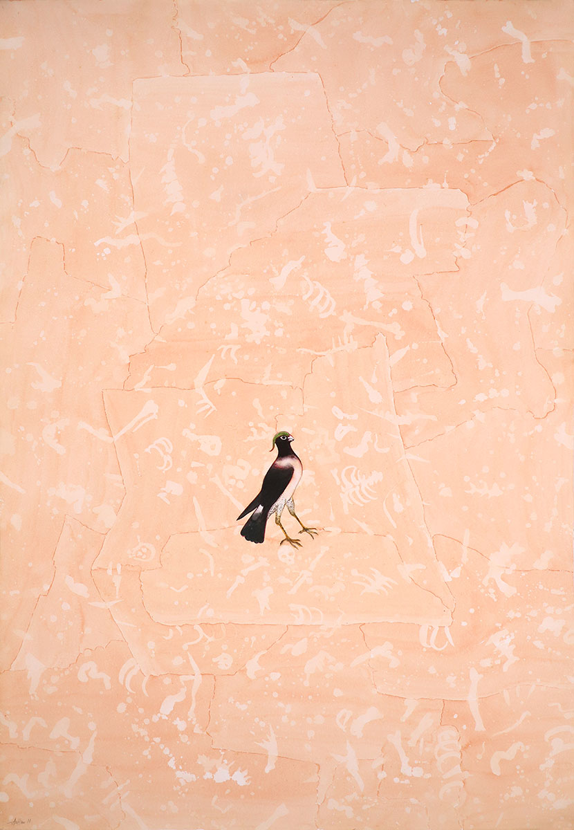 Birds-II-ASHIM-PURKAYASTHA-