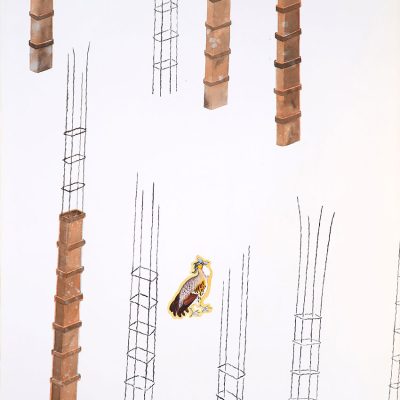Birds-III-ASHIM-PURKAYASTHA-