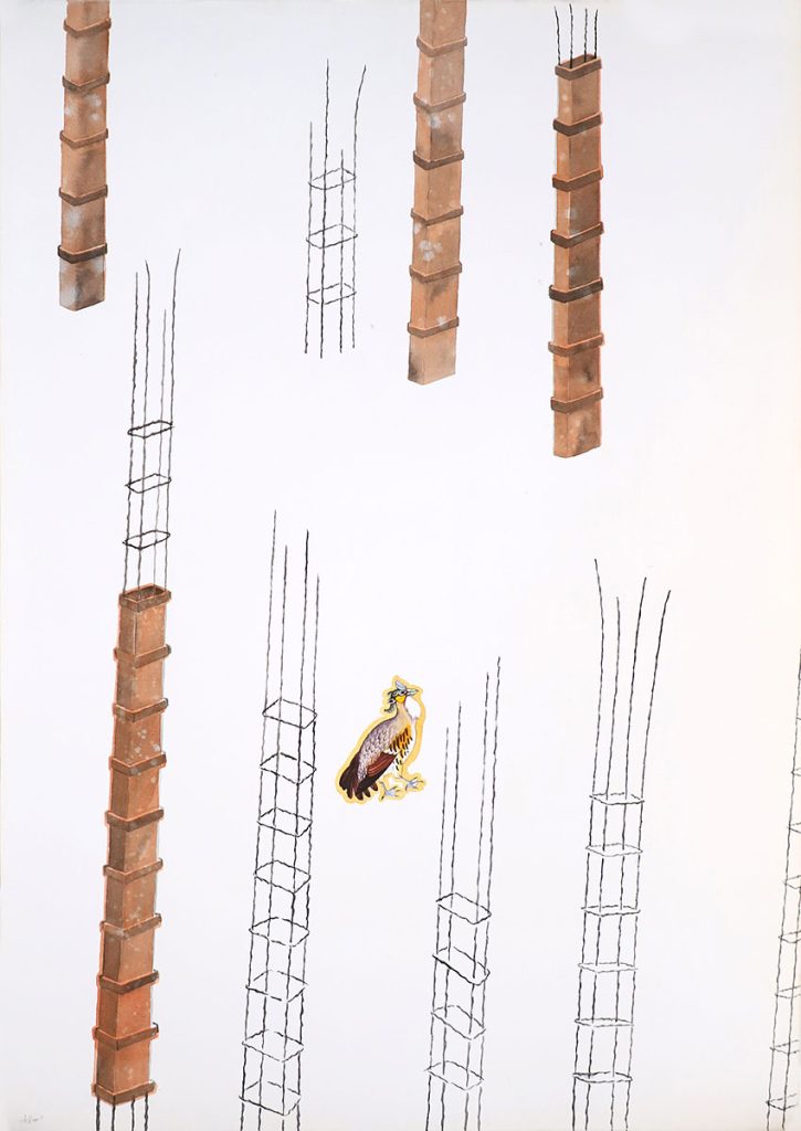 Birds-III-ASHIM-PURKAYASTHA-
