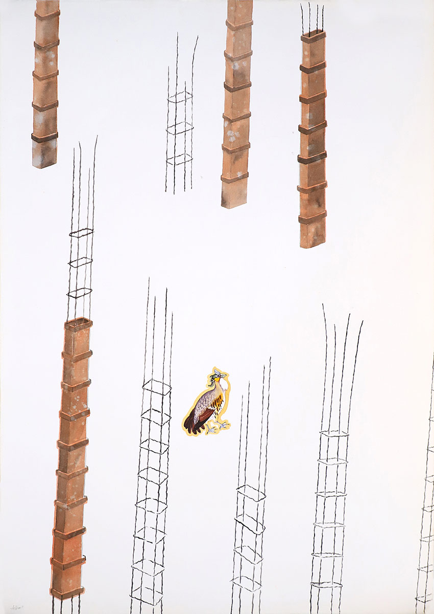 Birds-III-ASHIM-PURKAYASTHA-
