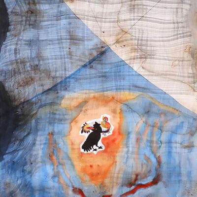 Birds-IV-ASHIM-PURKAYASTHA-