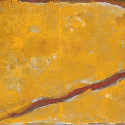 Meyrd-in-the-sun-Shambhavi