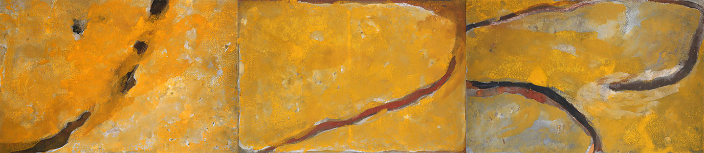 Meyrd-in-the-sun-Shambhavi